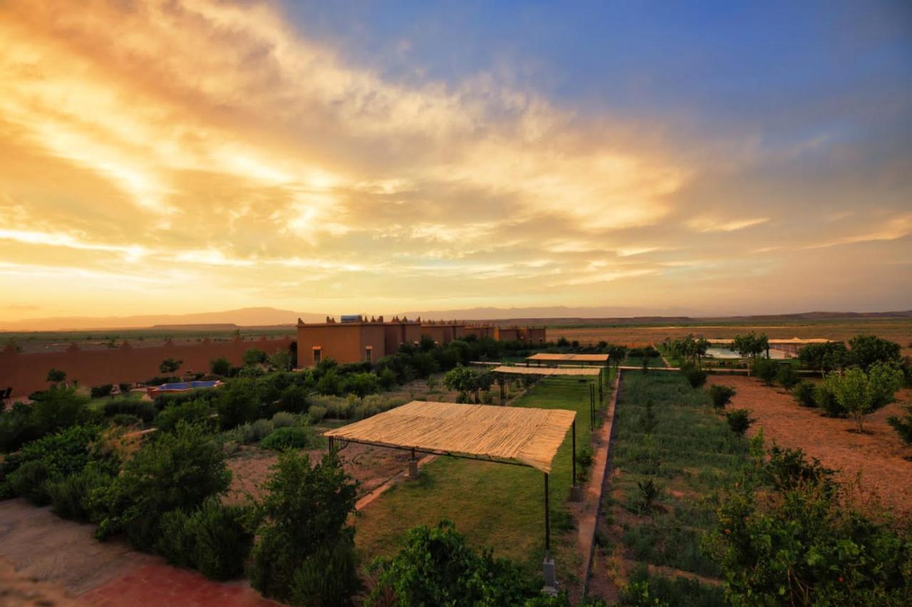 Ecolodge L'Ile De Ouarzazate Buitenkant foto