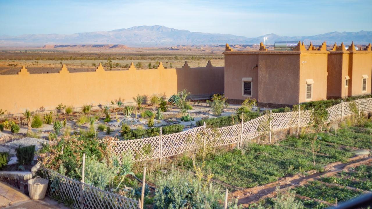 Ecolodge L'Ile De Ouarzazate Buitenkant foto