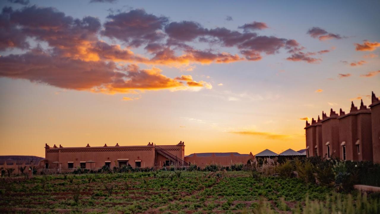 Ecolodge L'Ile De Ouarzazate Buitenkant foto